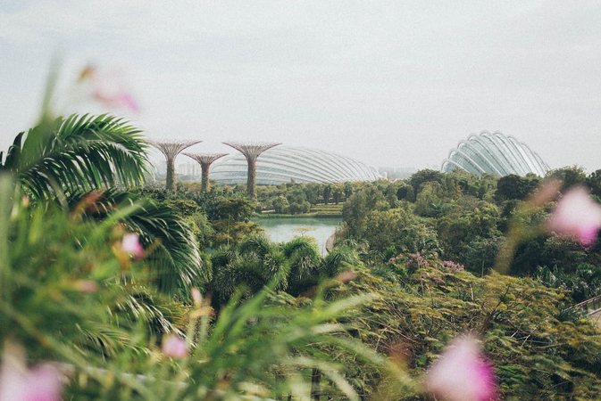 bay